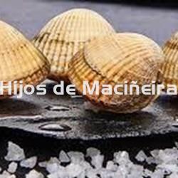 BERBERECHO FRESCO EXTRA - Imagen 1