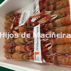 CIGALA GORDA FRESCA - Imagen 1