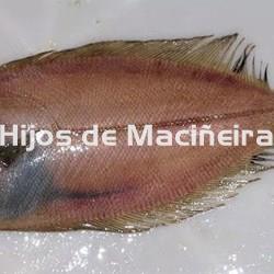 GALLO FRESCO - Imagen 1