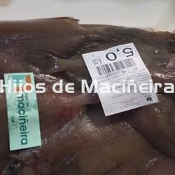 GALLO FRESCO - Imagen 2