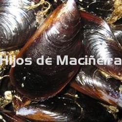 MEJILLÓN GALLEGO FRESCO (EXTRA) - Imagen 2