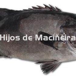 MERO FRESCO - Imagen 1