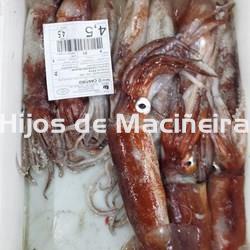 POTA FRESCA - Imagen 2