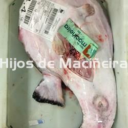 RAPE BLANCO FRESCO - Imagen 1