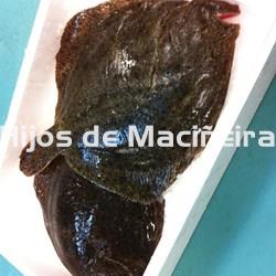RODABALLO FRESCO - Imagen 2