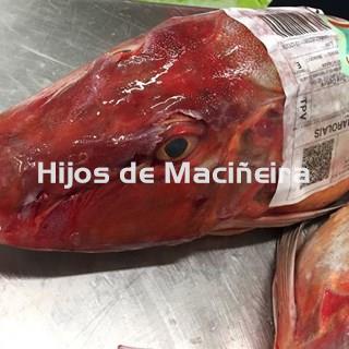 ESCACHO/RUBIO - Imagen 1