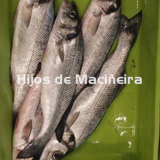 LUBINA FRESCA - Imagen 2