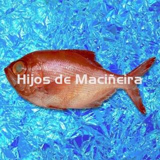 PALOMETA ROJA/VIRREY FRESCO - Imagen 1