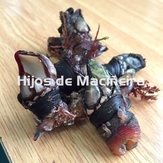 PERCEBE GALLEGO FRESCO - Imagen 1