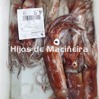 POTA FRESCA - Imagen 2