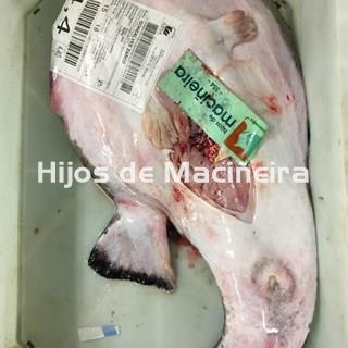 RAPE BLANCO FRESCO - Imagen 1