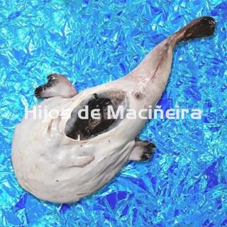 RAPE NEGRO FRESCO - Imagen 2